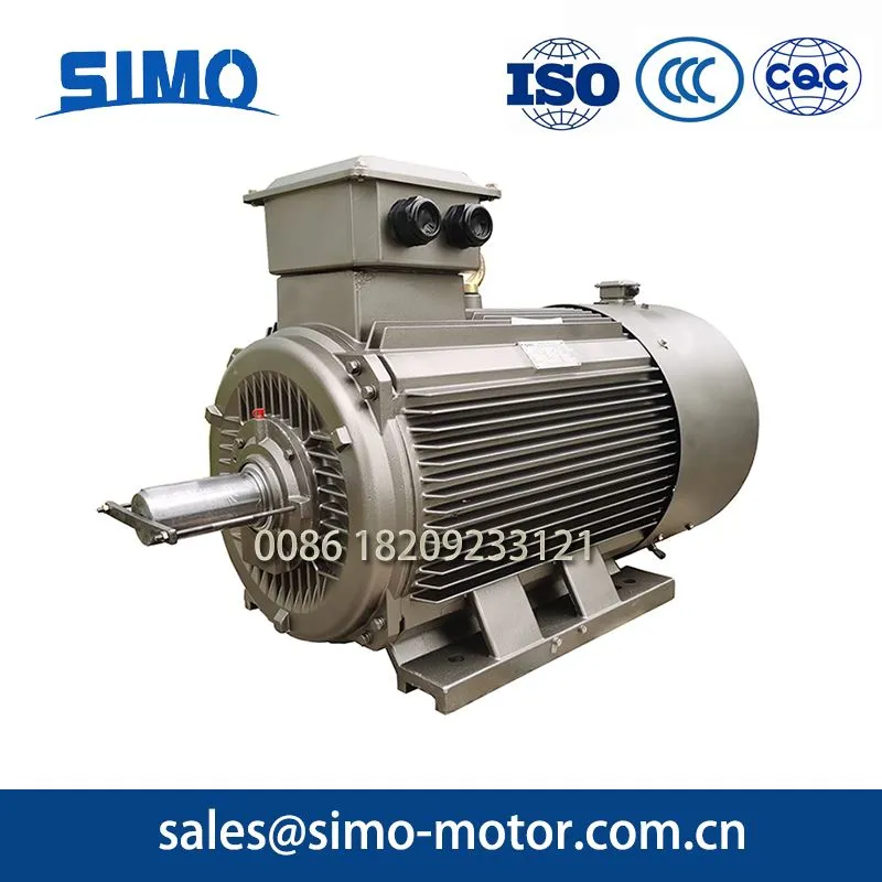 Ultra High Efficiency Motor-1000 rpm